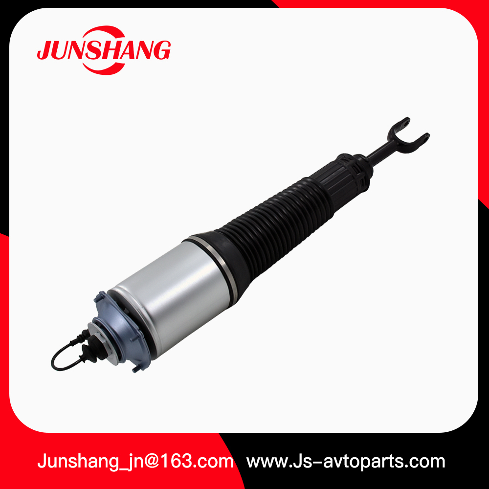 Air Strut A8 D3 4E0616039AF