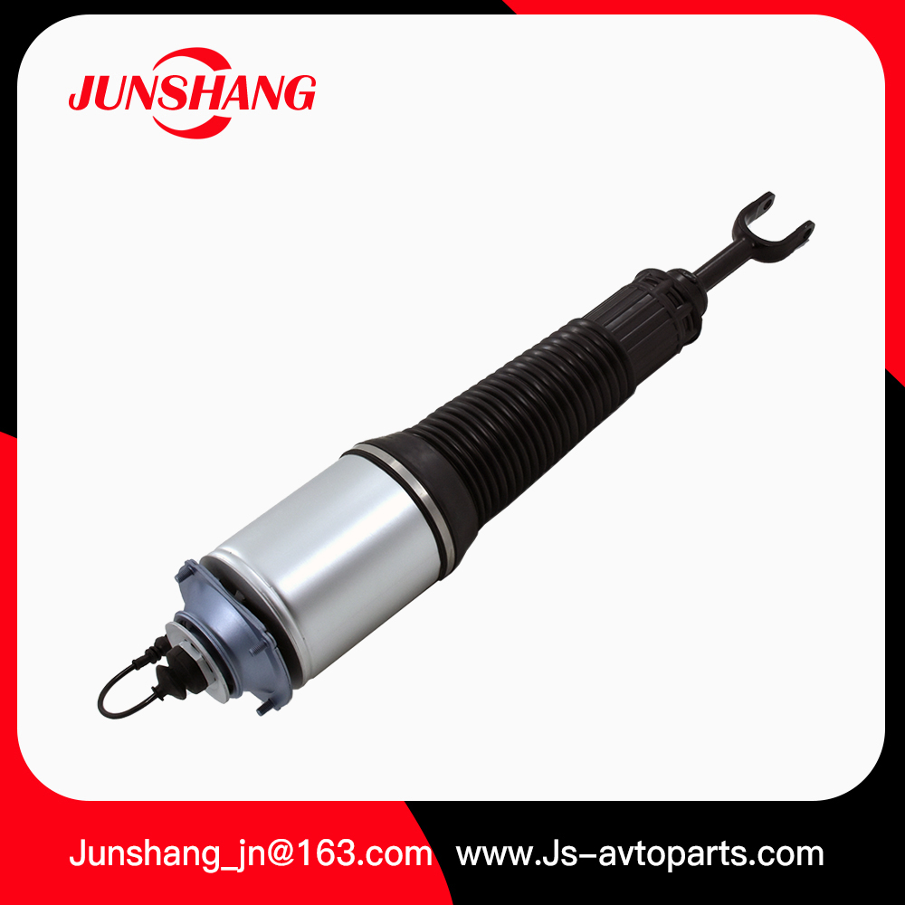 Air Strut A8 D3 4E0616040AF