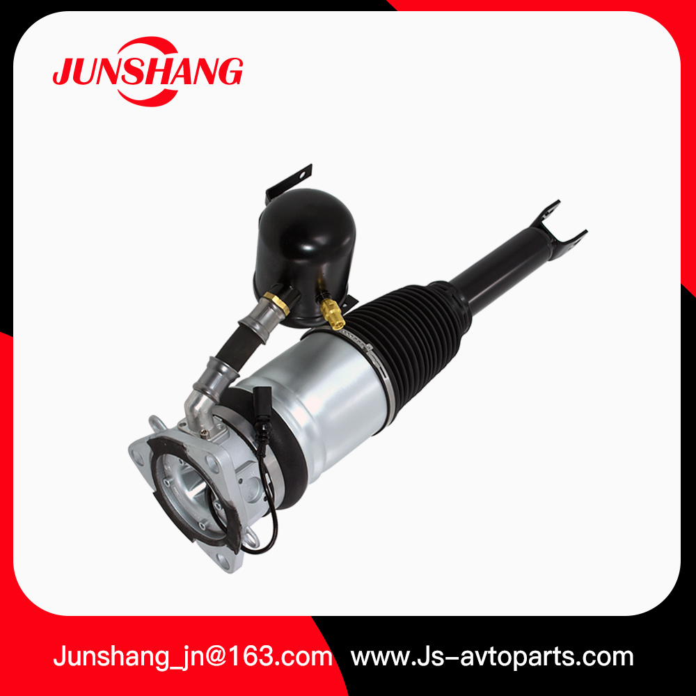 Air Strut A8 D3 4E0616001N