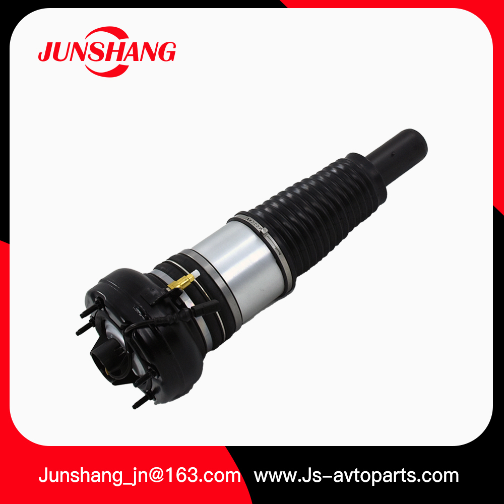 Air Strut A8 D4 4H0616039AE