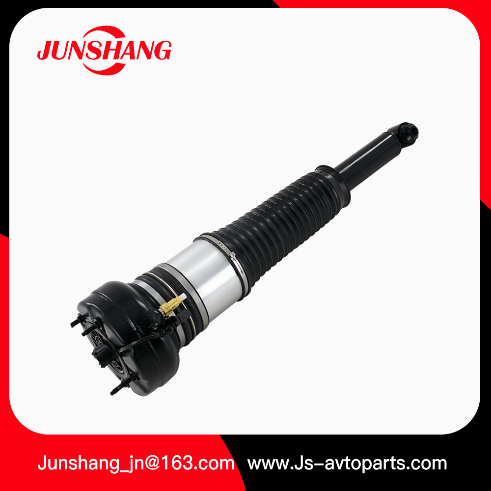 Air Strut A8 D4 4H0616002N